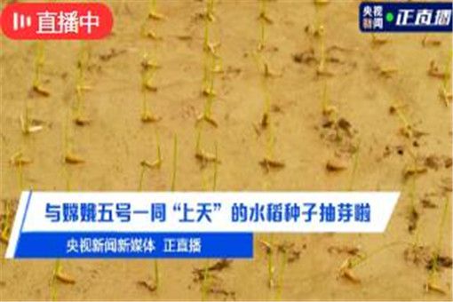 鴨嘴閥|橡膠接頭|鋁模定位塊|防水套管|伸縮器|補(bǔ)償器|傳力接頭|防水翼環(huán)