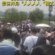 人從眾，西湖斷橋五一假期變“人橋”，有人在高速上遛狗，你還想出門么