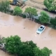 江西宜春暴雨成災(zāi):居民上街抓魚，水利部啟動ⅳ級應(yīng)急響應(yīng)